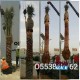 Date Palm delivery and planting-0553862762