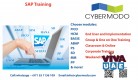 SAP Training for Corporate or Individual