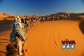 Dubai Tour Package - Book Packages for Desert Safari, City Tour
