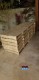0554646125Used wooden pallets