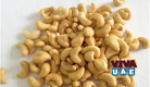 Vietnamese Cashew Nut Kernels WW450, SW320