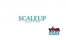 Strategy Consulting Firm, Business Strategy Consultant - Scaleup Solution