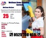WeClean Home  Cleaning Services