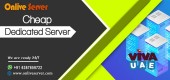 Extend Business with Cheap Dedicated Server from Onlive Server