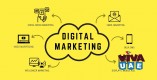 Digital Marketing / Promotion Services in Umm Al Quwain