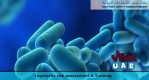 Legionella risk assessment & Training