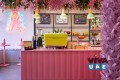 Vibe Café - Healthy Food Restaurant in Al Wasl