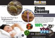 DEEP STEAM CLEANING CURTAIN,SOFA,MATTRESS