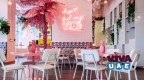 Vibe Restaurent & Bar in DIFC, Dubai