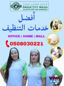 Green City Maids Cleaning Service