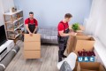 PROFESSIONAL MOVER PACKER AND  SHIFTER 056 1822306
