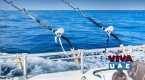 Deep sea fishing Dubai | deep sea fishing