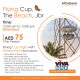 Enjoy the Amazing Flying Cup Flights, The Beach Jbr