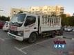 3 Ton Pickup For Rent in Dubai 056574781