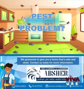 Mouse Problem? Professional Pest Control Services Now Available