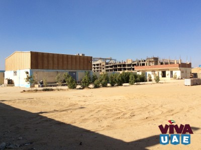 Dairy factory for sale | US$385,000 | Egypt 