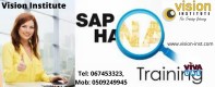 SAP HANA Classes at Vision Institute. Call 0509249945