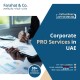 Best Corporate PRO Services in Dubai