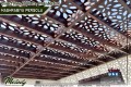 Pergola in Dubai | Mashrabiya Design Pergola | Wooden Pergola UAE | Pergola Suppliers