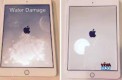 Ipad Liquid Damage Repair Dubai.