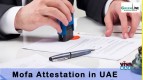 Wanted Mofa Attestation in UAE by Green Line  