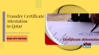Transfer Certificate Attestation in Qatar