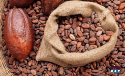 We're a specialized cocoa, coffee,cashewnuts We connect suppliers to buyers, sell premium beans and offer cons