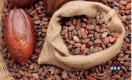 We're a specialized cocoa, coffee,cashewnuts We connect suppliers to buyers, sell premium beans and offer cons
