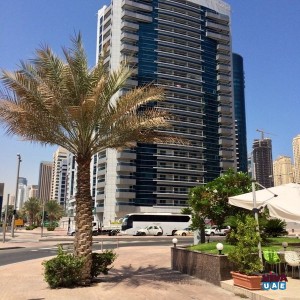 1 bedroom apartment for rent in Dubai Marina