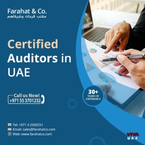 Best Auditors in Dubai - Certified Auditing Consultants