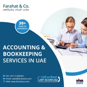 Accounting Services in UAE - Business Accounting Services