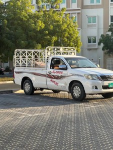 1 ton 3 ton Pick-up Truck for rental in Dip 052-2606546