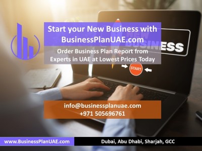 Hire Business plan writers in UAE Call Us+971564036977