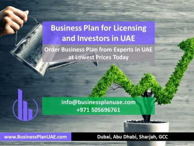 Marketresearch for Business plan in UAE Call On+971564036977 