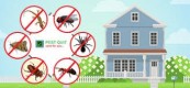pest control services  in dubai