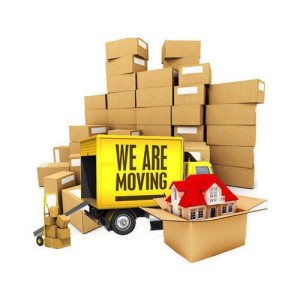 Dip Movers Packers in Dubai Investment Park 0527941362