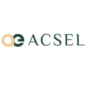 Acselnow Business Consultant