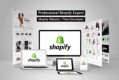 Shopify Plus agency
