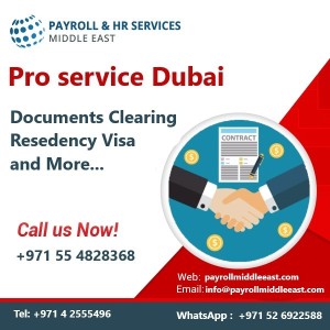 Best PRO Services in UAE - Dubai's Top PRO Company