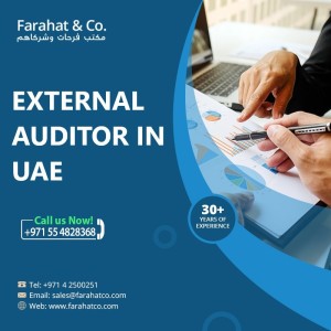 External Audit Services in UAE