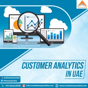 Customer Analytics in UAE