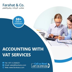 Audit Accounting & VAT service - Outsourced CA & Bookkeeping