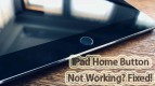 iPad Home Button Replacement Dubai