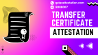 Transfer Certificate Attestation in Qatar