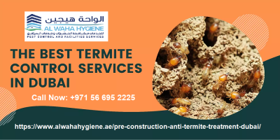 +971 56 695 2225 | Anti-Termite Control Dubai