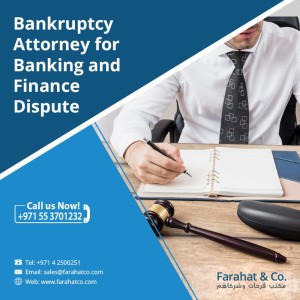 Bankruptcy and Liquidation - Get Free Consultation