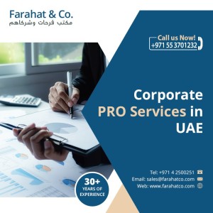  PRO Services in Dubai UAE