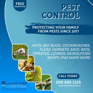 +971 56 695 2225 Pest control Service in Al Ain