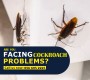 +971 56 695 2225 Get Rid of Cockroaches the Safe Way    