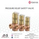 GOETZE Pressure Relief Safety Valve WOG With Lever Set Pressure 2-20 BAR Series 628
